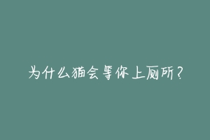 为什么猫会等你上厕所？