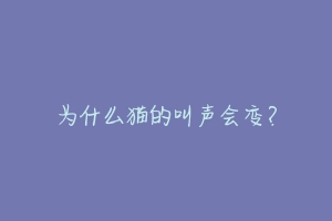 为什么猫的叫声会变？