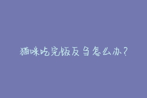 猫咪吃完饭反刍怎么办？