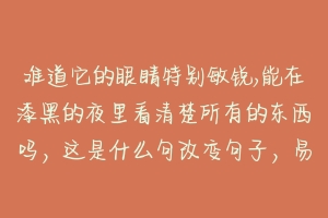 难道它的眼睛特别敏锐,能在漆黑的夜里看清楚所有的东西吗，这是什么句改变句子，易思不变？