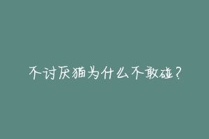 不讨厌猫为什么不敢碰？