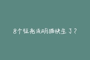 8个征兆说明猫快生了？