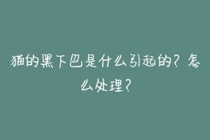 猫的黑下巴是什么引起的？怎么处理？