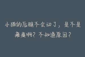 小猫的后腿不会动了，是不是瘫痪啊？不知道原因？