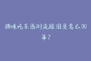 猫咪吃东西时流眼泪是怎么回事？