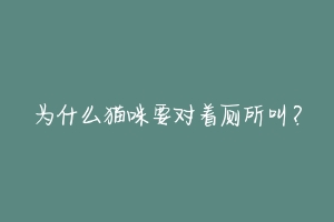 为什么猫咪要对着厕所叫？