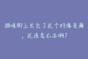 猫咪脚上长出了这个好像是癣，这该怎么办啊？