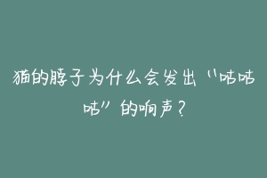 猫的脖子为什么会发出“咕咕咕”的响声？