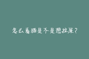 怎么看猫是不是想拉屎？