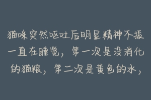 猫咪突然呕吐后明显精神不振一直在睡觉，第一次是没消化的猫粮，第二次是黄色的水，第三次是白色的泡沫？