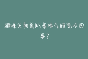 猫咪头朝前趴着喘气睡觉咋回事？