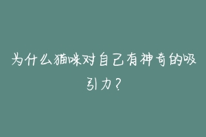 为什么猫咪对自己有神奇的吸引力？