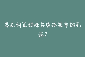 怎么纠正猫咪总爱抓被单的毛病？