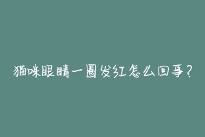 猫咪眼睛一圈发红怎么回事？