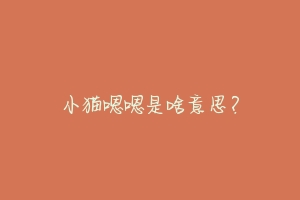 小猫嗯嗯是啥意思？