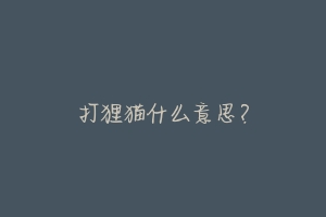 打狸猫什么意思？