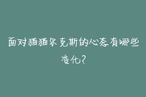 面对猫猫尔克斯的心态有哪些变化？