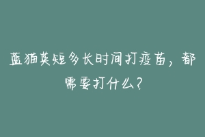 蓝猫英短多长时间打疫苗，都需要打什么？