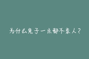 为什么兔子一点都不亲人？