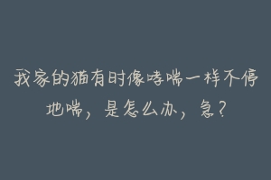 我家的猫有时像哮喘一样不停地喘，是怎么办，急？