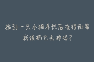 捡到一只小猫养然后变得倒霉我该把它丢掉吗？