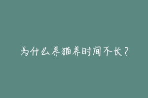 为什么养猫养时间不长？