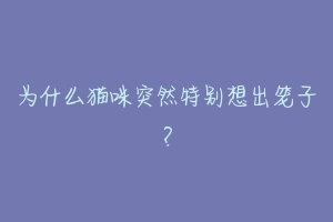 为什么猫咪突然特别想出笼子？