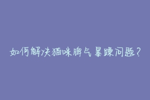 如何解决猫咪脾气暴躁问题？