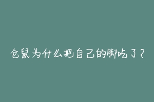 仓鼠为什么把自己的脚吃了？