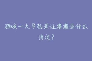 猫咪一大早起来让撸撸是什么情况？