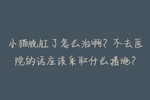 小猫脱肛了怎么治啊？不去医院的话应该采取什么措施？