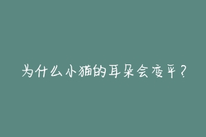 为什么小猫的耳朵会变平？