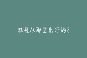 猫是从那里出汗的？