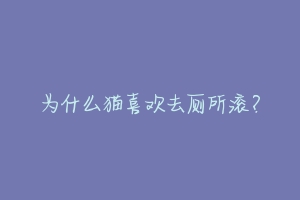 为什么猫喜欢去厕所滚？