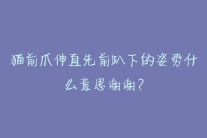 猫前爪伸直先前趴下的姿势什么意思谢谢？