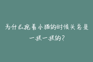 为什么抱着小猫的时候头总是一拱一拱的？