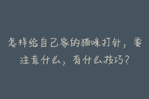 怎样给自己家的猫咪打针，要注意什么，有什么技巧？