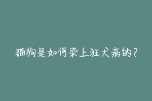 猫狗是如何染上狂犬病的？