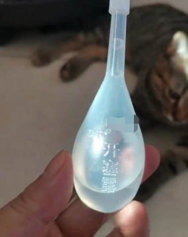 猫便秘怎么解决？