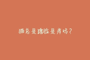 猫总是蹭脸是痒吗？