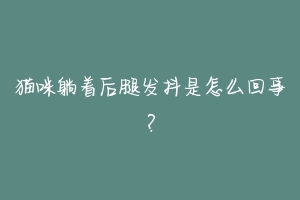 猫咪躺着后腿发抖是怎么回事？