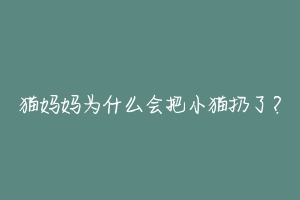 猫妈妈为什么会把小猫扔了？