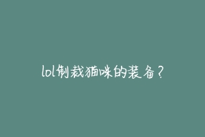 lol制裁猫咪的装备？