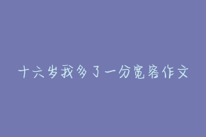 十六岁我多了一分宽容作文