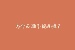 为什么猫不能洗澡？