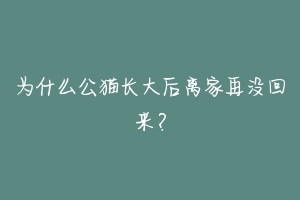 为什么公猫长大后离家再没回来？