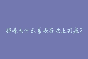 猫咪为什么喜欢在地上打滚？