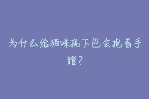 为什么给猫咪挠下巴会抱着手蹬？