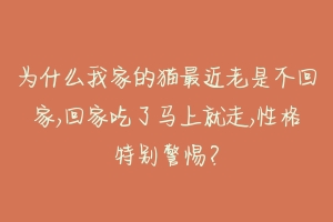 为什么我家的猫最近老是不回家,回家吃了马上就走,性格特别警惕？