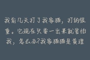 我前几天打了我家猫，打的很重。它现在只要一出来就害怕我，怎么办?我家猫猫是黄理猫？